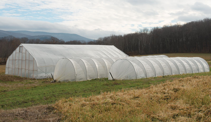 tunnels leasing farmland