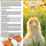 chicken health from a to z guide