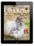 chickens- may/june 2024