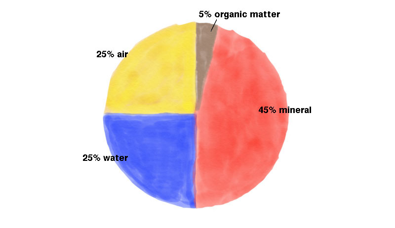 healthy soil infographic