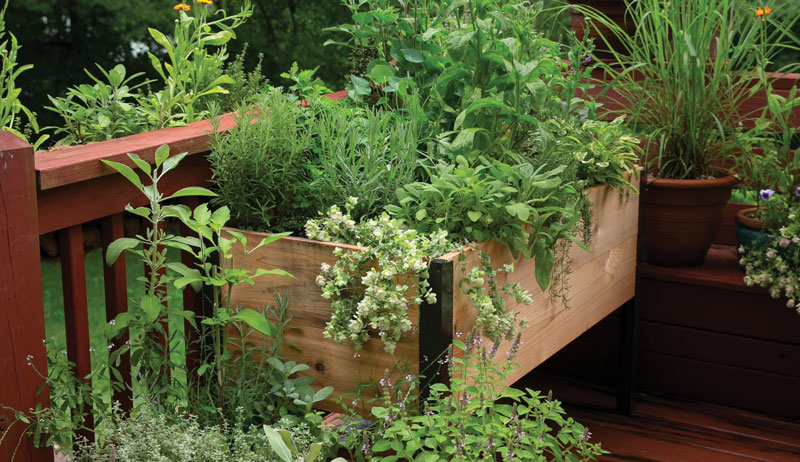 The Healing Garden herbs containers