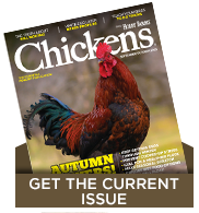 latest issue