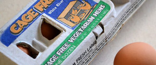 16 Food Labels and What They Mean