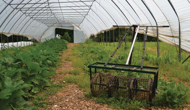 cedar ring solar hoop house crops