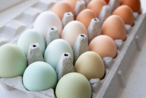 What Chickens Lay Green Eggs? 4 Breeds to Consider