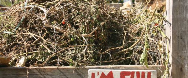 Compost Like a Pro: Simple 2-Bin Technique - Hobby Farms
