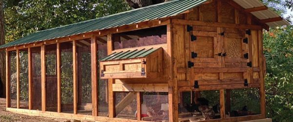 This Cool Coop Brings Joy To Chickens & Their Keepers