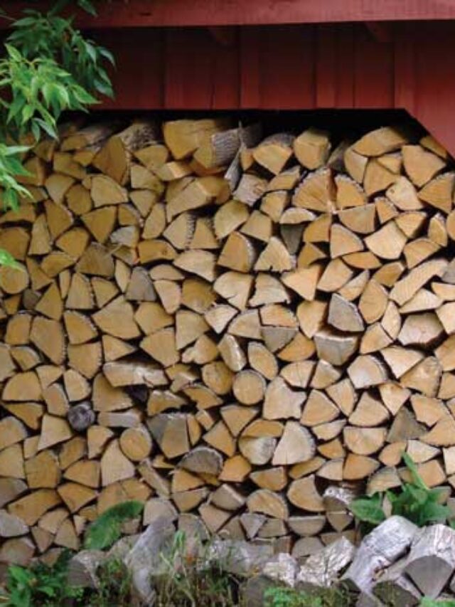 firewood