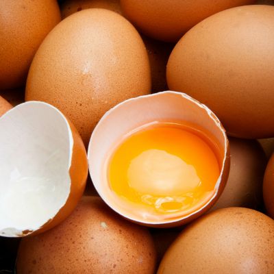 Egg Yolk Color: What It Means and What Affects It