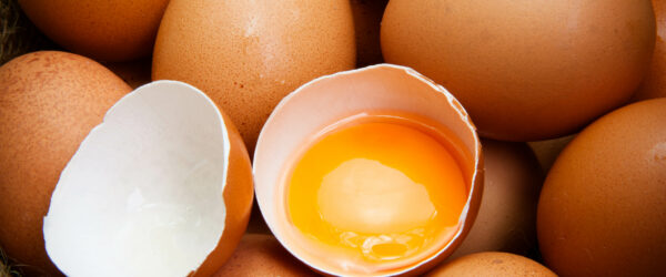 Egg Yolk Color: What It Means and What Affects It