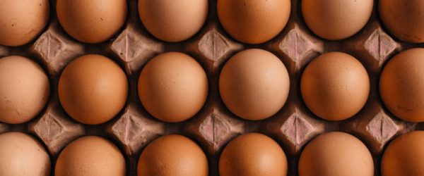 Why Is There Blood In My Chicken’s Egg?