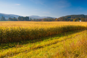 Fall Weather: Why is Early Fall So Warm?