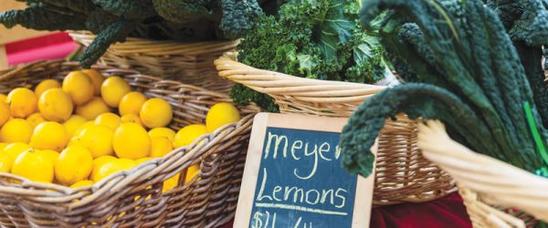 14 Tips To Remember When You Visit A Farmers Market