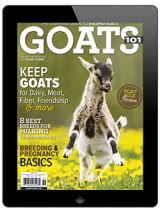 goats 101 digital issue