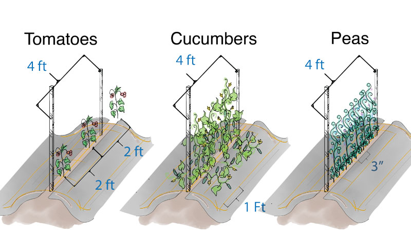 garden permanence