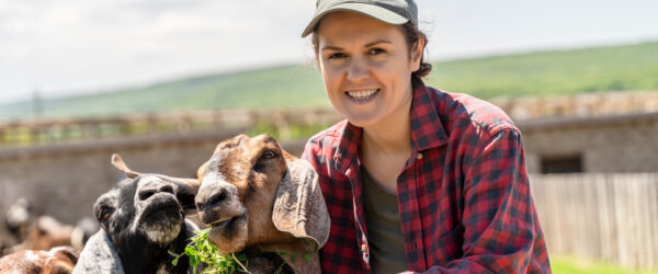 Goat Treats: Feed them Right