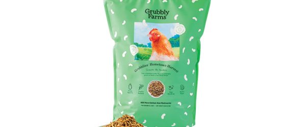 Chicken General Store: Chic(k) Decor For The Coop & Home