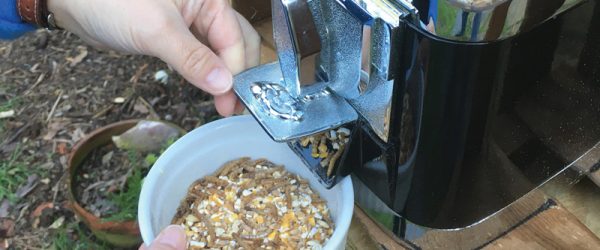 Get A Gumball Machine To Dispense Chicken Treats