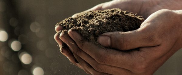 Make Your Own Amendments With The “Regenerative Grower’s Guide To Garden Amendments”