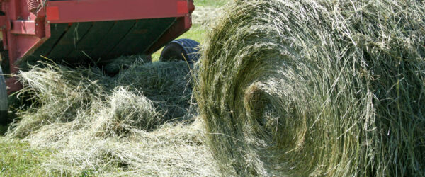 Hay Baler Comparison: Square vs. Round for Small Farms