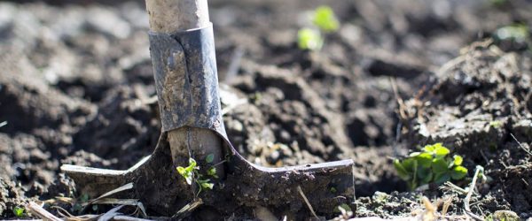 Holistic Soil Is Critical To Ecosystem Garden Design