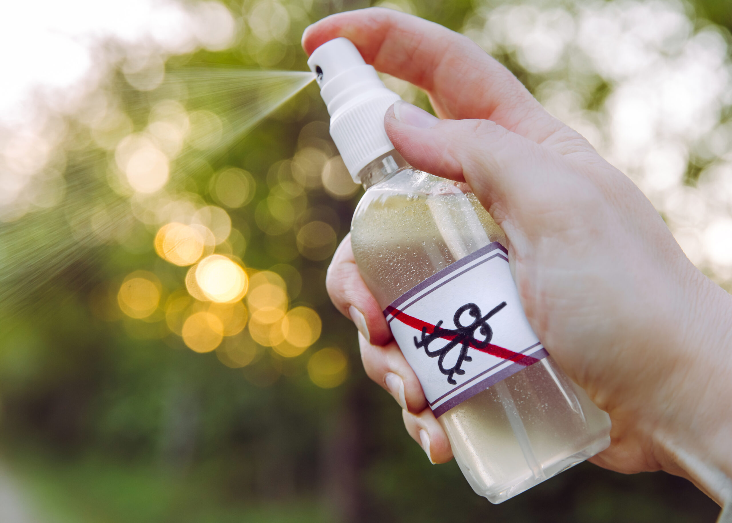 hand holding and spraying a homemade bug spray