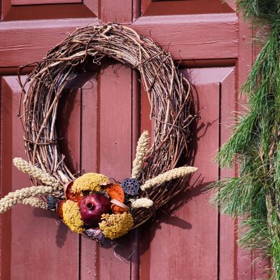 How to Make a Grapevine Wreath: A Simple DIY Guide
