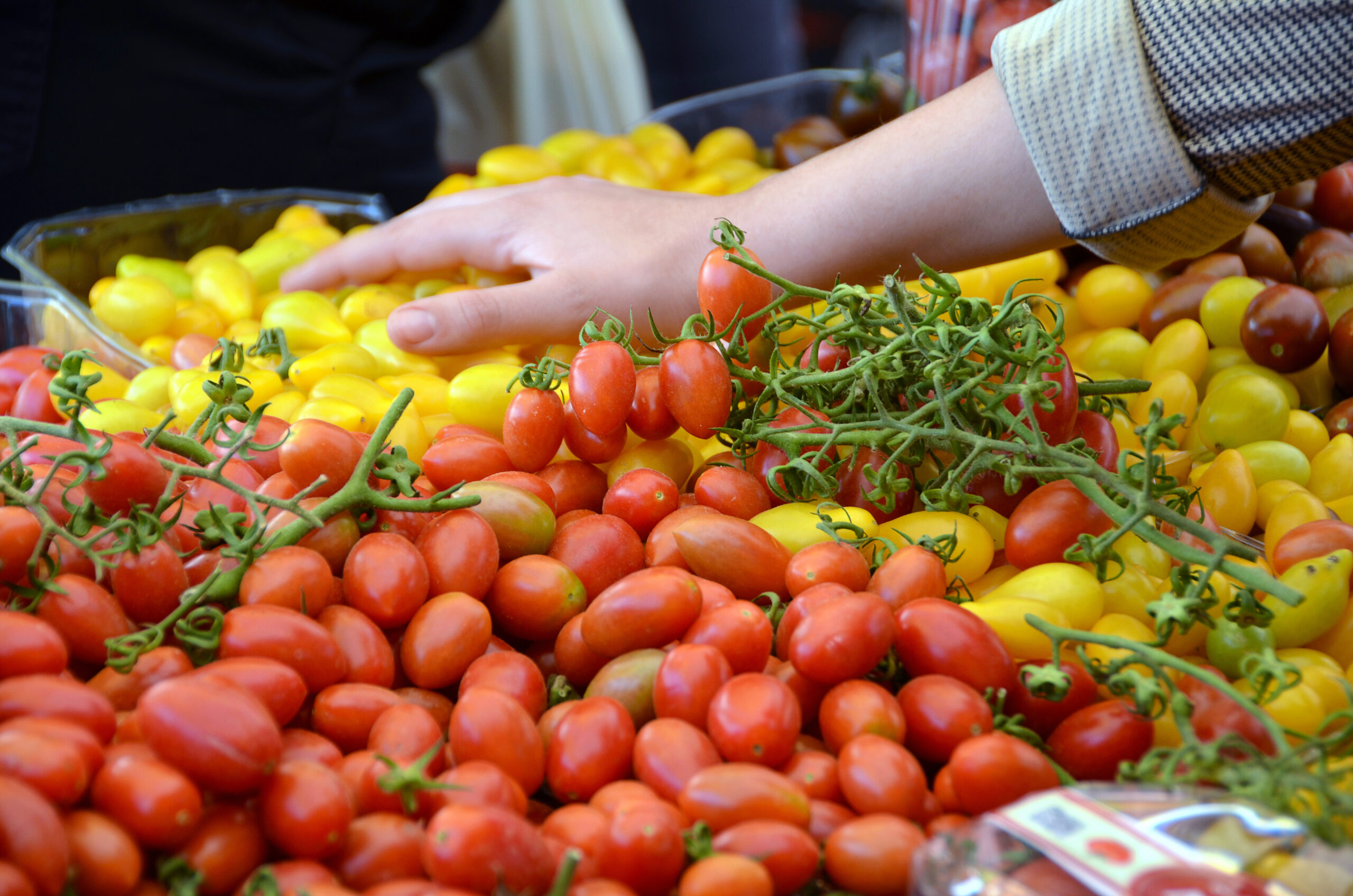 how to sell cherry tomatoes includes displaying red and yellow cherry tomatoes for the customer to choose