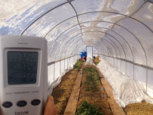 Use cardboard between garden rows for walkways.