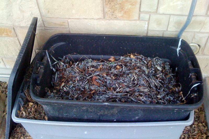 Worm bins use red wiggler worms to digest food scraps into vermicompost.