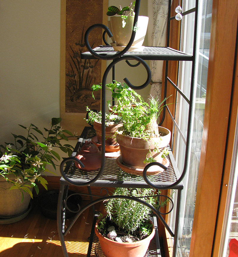 Get creative with your indoor growing space—hang plants or set them on shelves.