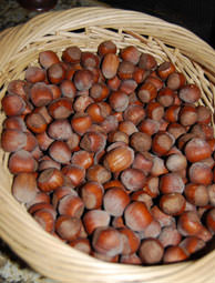 Hazelnuts