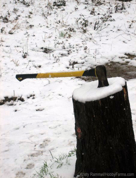 Do the four-letter words of winter (snow, cold, wind, chill) make you question your decision to be a homesteader? Photo by Kristy Rammel (HobbyFarms.com)