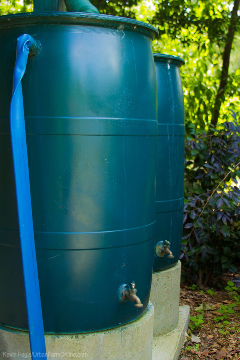 2015 Resolution: Install Rain Barrels - Photo by Kevin Fogle (UrbanFarmOnline.com)