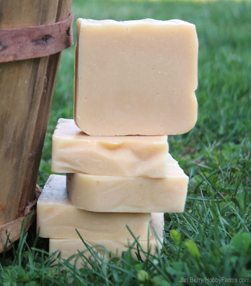 Why Use Lye In Soap? - Photo courtesy Jan Berry (HobbyFarms.com)