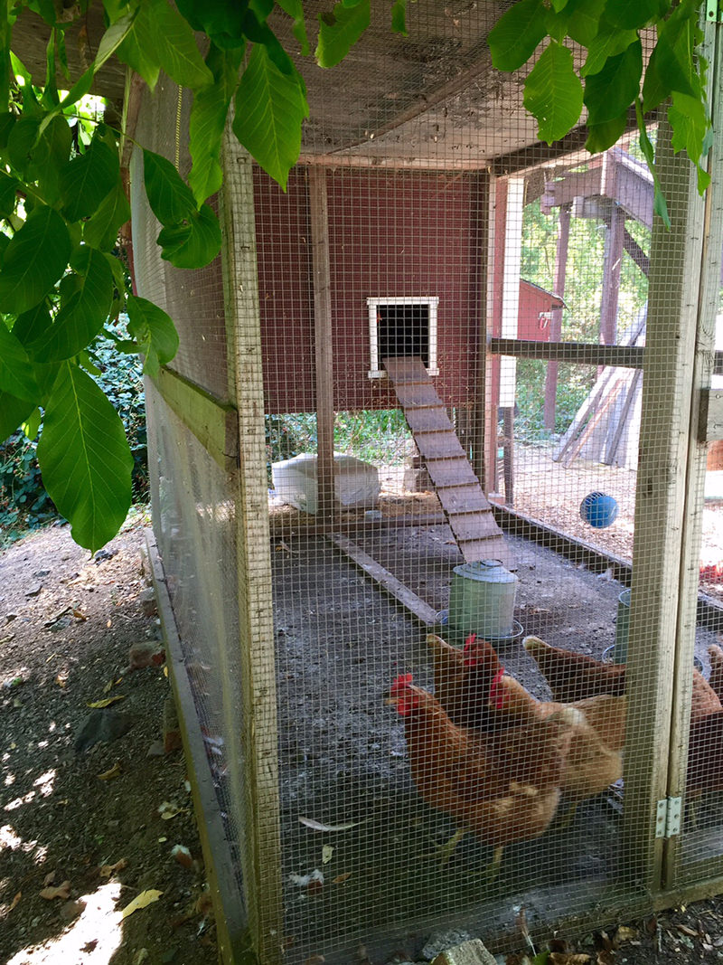 The Chicken Palace