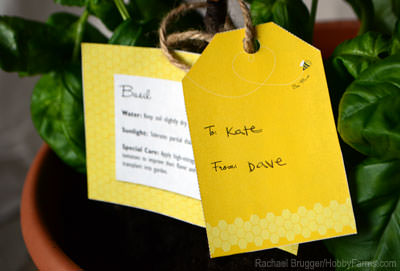 Gift a plant to your favorite gardener, and attach a custom-made gift tag and matching care card. Photo by Rachael Brugger (HobbyFarms.com)