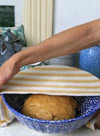 The dough prepares to rise in an oiled bown, covered with a damp cloth.