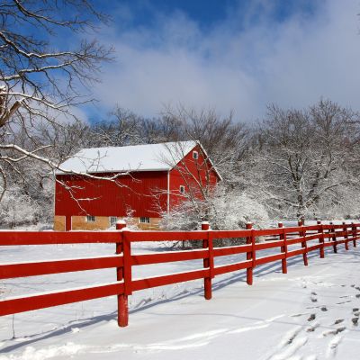 Is Snow a Good Insulator? How It Protects Farms in Winter
