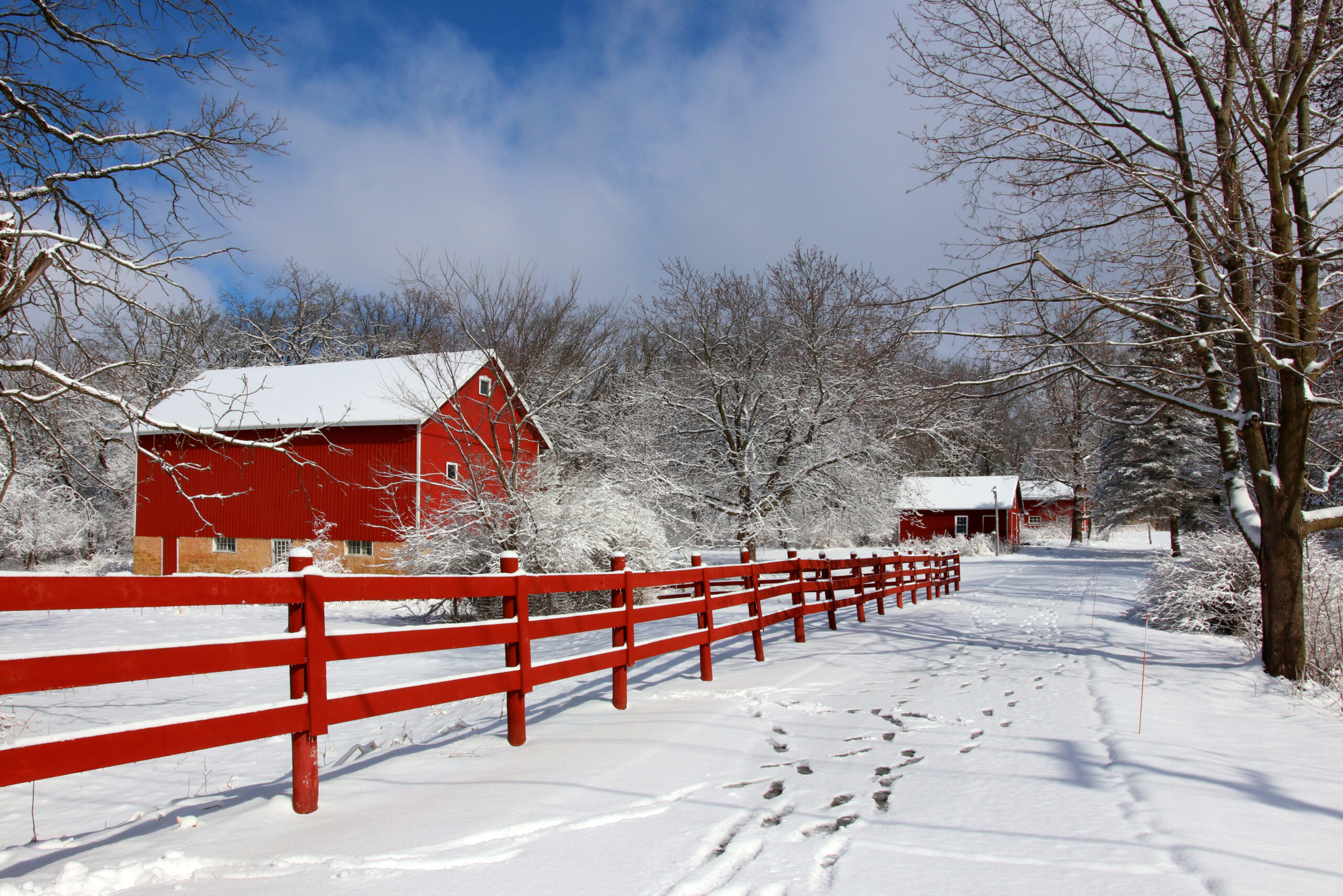 Rural farm landscape in winter with a red barn, wooden fence, and snow-covered trees