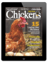 chickens- jan/feb 2024
