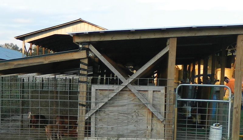 livestock handling facilities