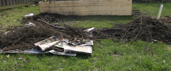 Lasagna Gardening: A No-Dig Method for Thriving Gardens