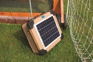 light-up-your-chicken-coop