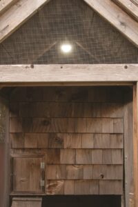 light-up-your-chicken-coop