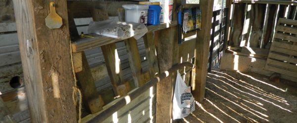 3 DIY Livestock Handling Facilities That Inspire