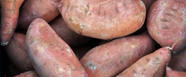 Grow Sweet Potatoes For A Tasty, High-Yield Garden Crop