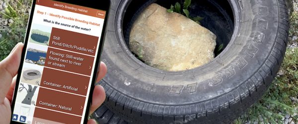 Bite Back At Mosquitoes With The ‘Mosquito Habitat Mapper’