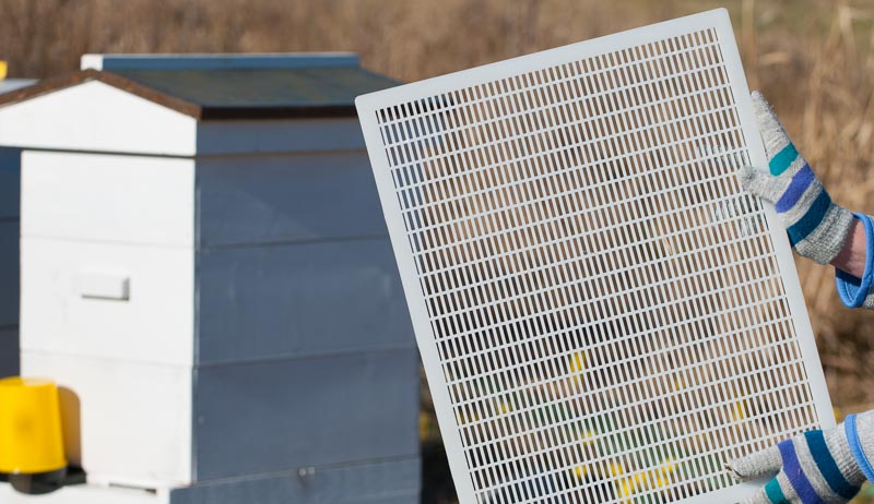 queen excluders are a tool for beehive management