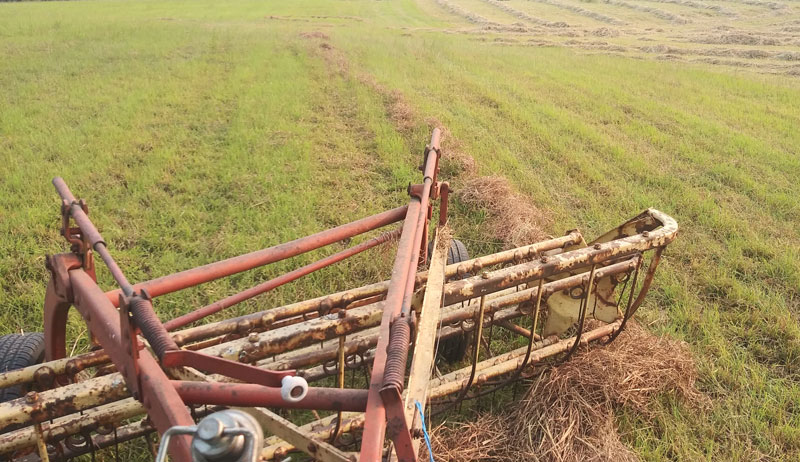 Making Your Own Hay - Hobby Farms